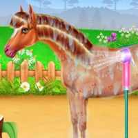 JOGOS DE CUIDAR DE ANIMAIS: Jogos de Cuidar de Cavalos
