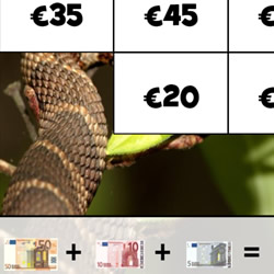 PIRÂMIDE DE EINSTEIN: Euros € (adições e subtrações com decimais) em  COQUINHOS